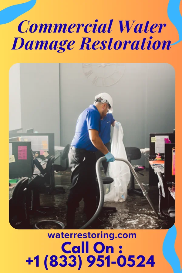 Commercial Water Damage Restoration in Kenilworth, PA