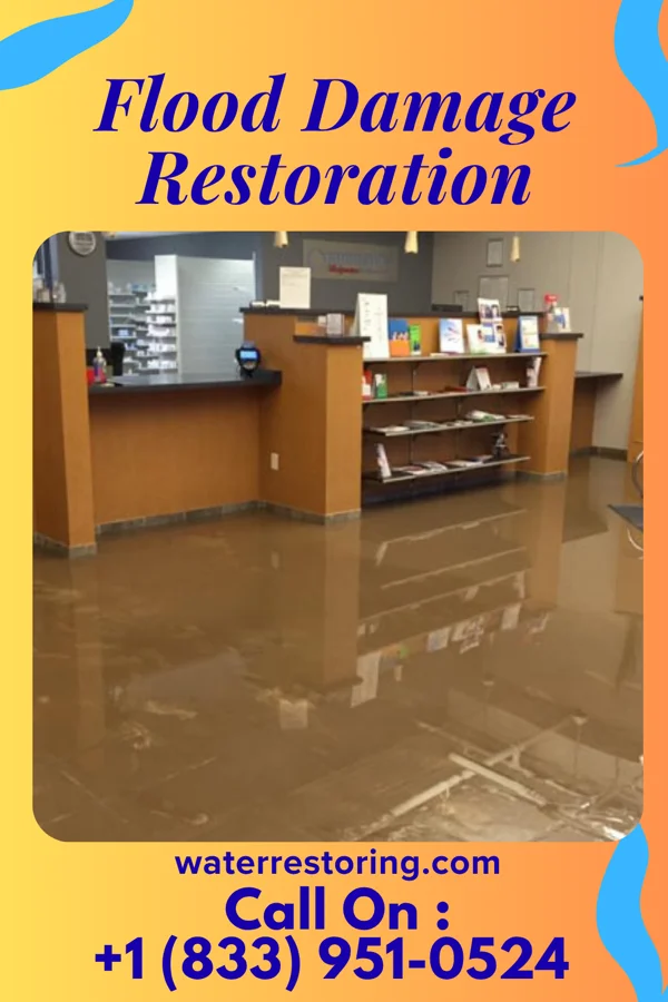 Flood Damage Restoration in Kenilworth, PA