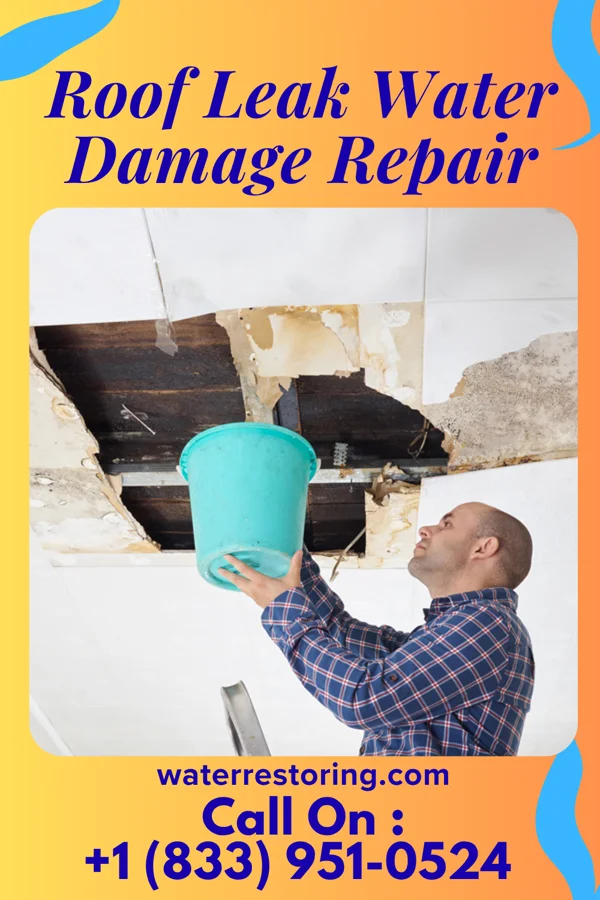 Roof Leak Water Damage Repair in Kenilworth, PA