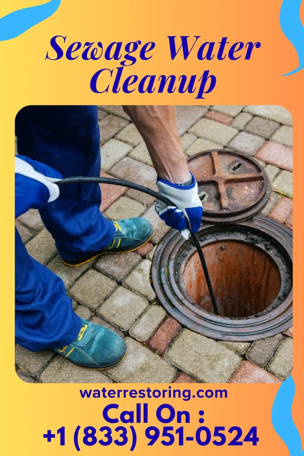 Sewage Water Cleanup in Kenilworth, PA