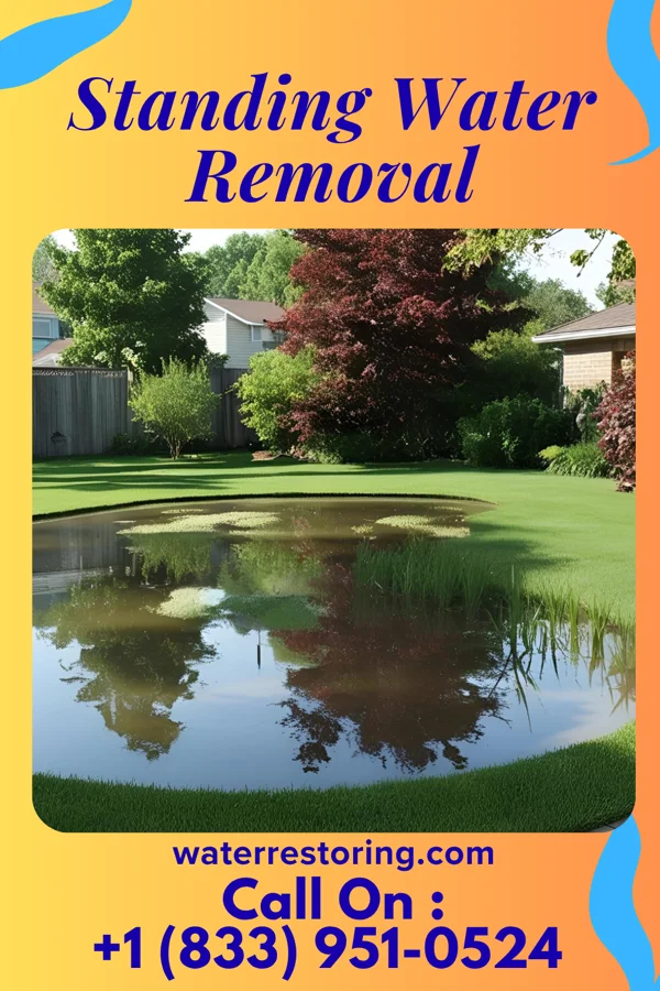 Standing Water Removal in Kenilworth, PA